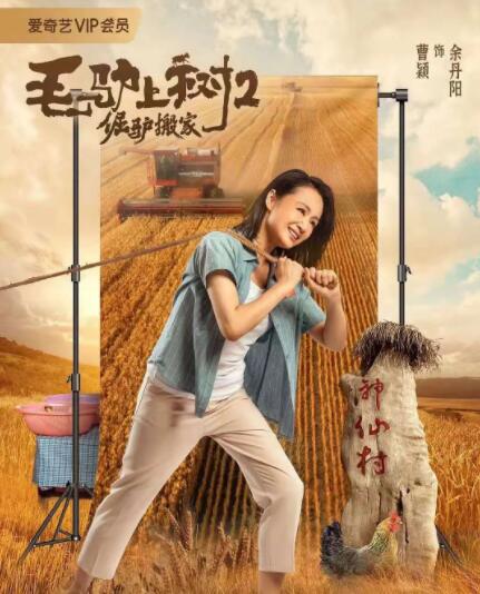 婷婷看片